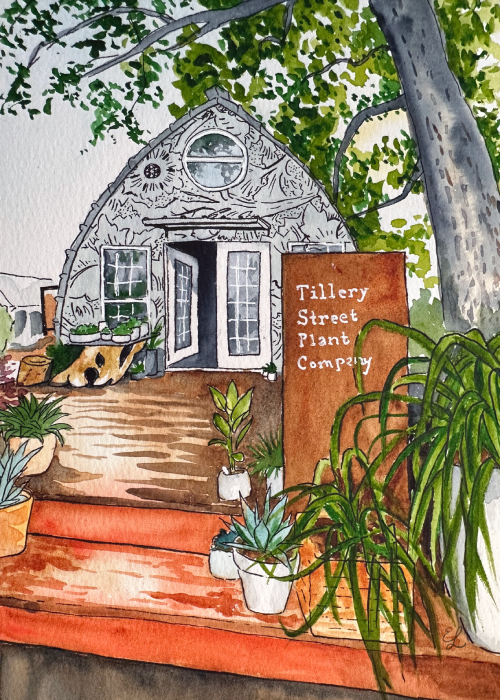 Tillery Street Plant Company