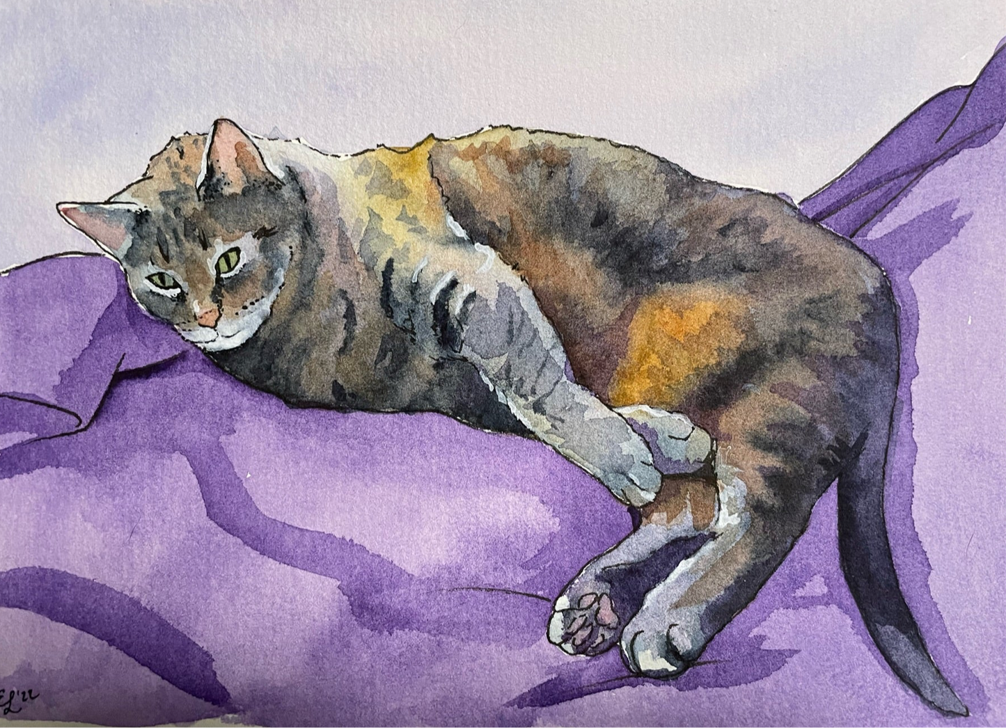 Pet Portrait Commission