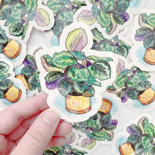 Calathea Vinyl Sticker