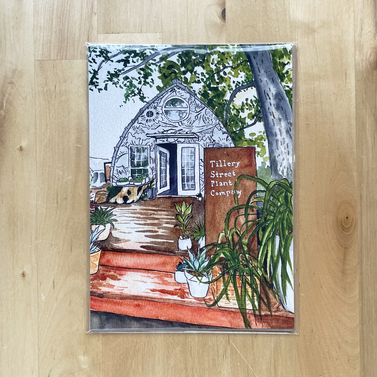 Tillery Street Plant Company