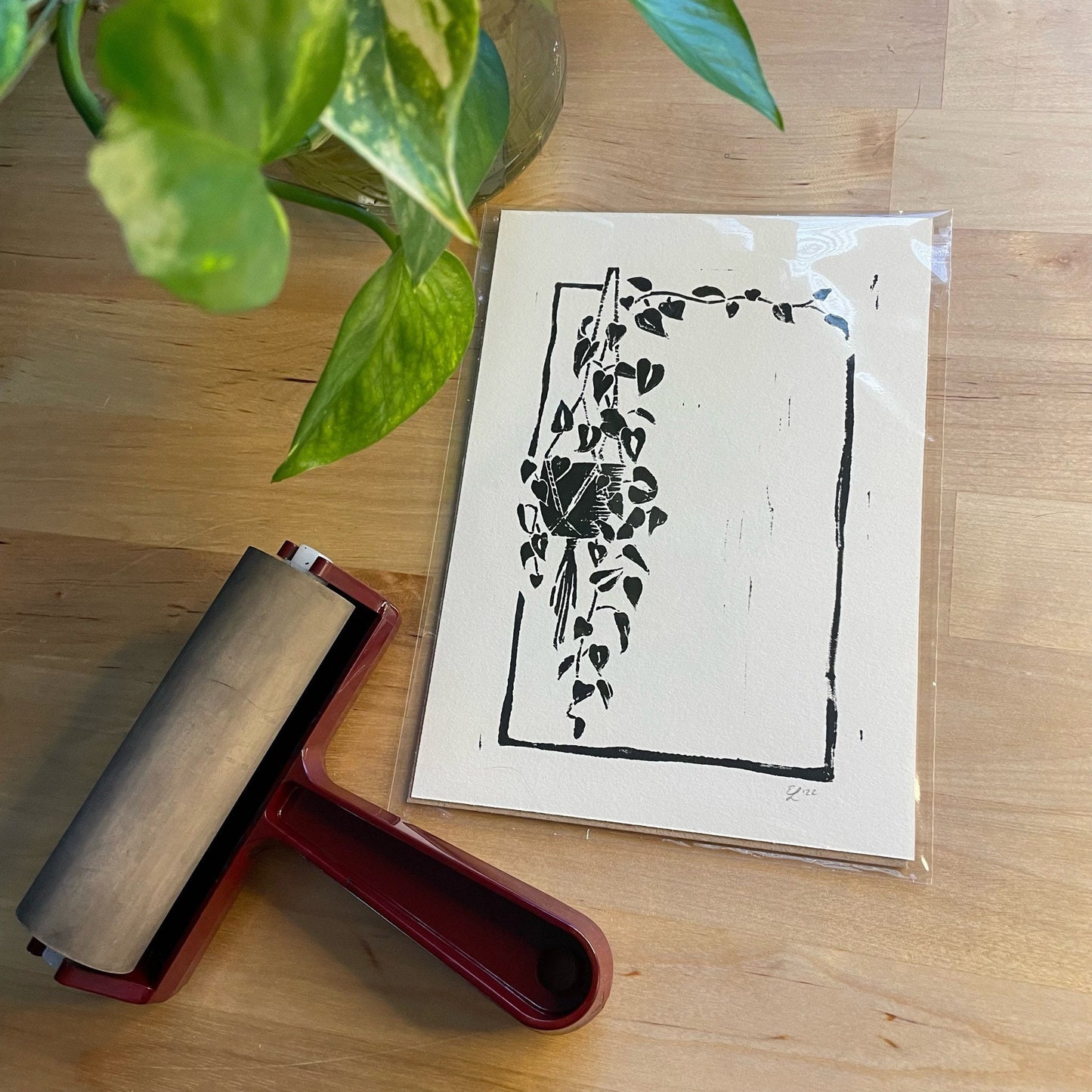 Philodendron