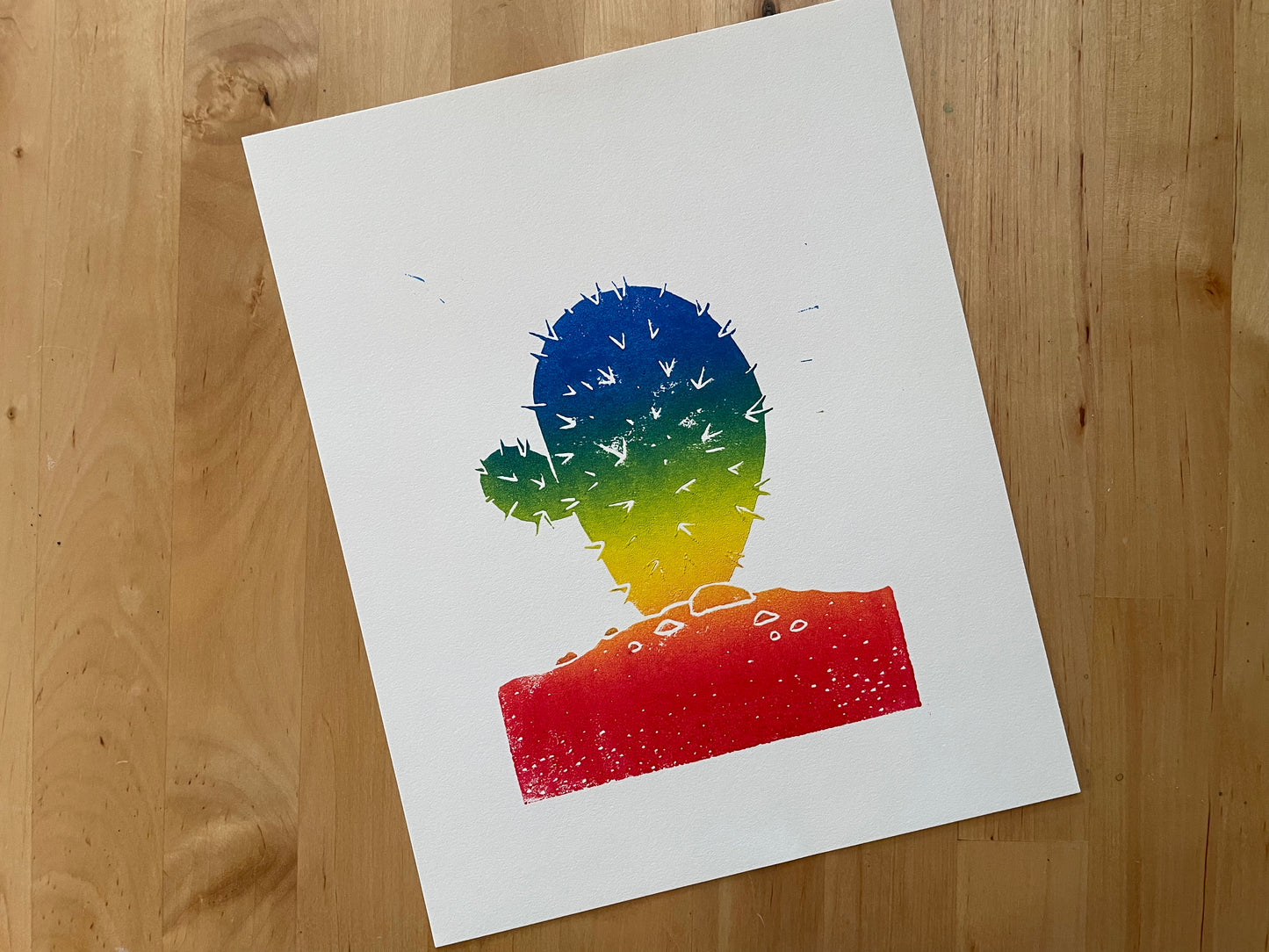 Rainbow Cactus