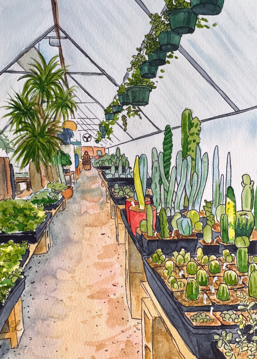 austin succulents East Side Succulents – Fiber & Brimstone