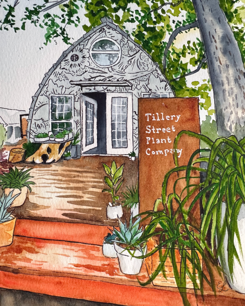 Tillery Street Plant Company