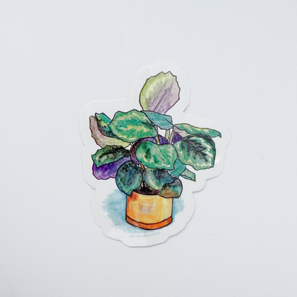 Calathea Vinyl Sticker