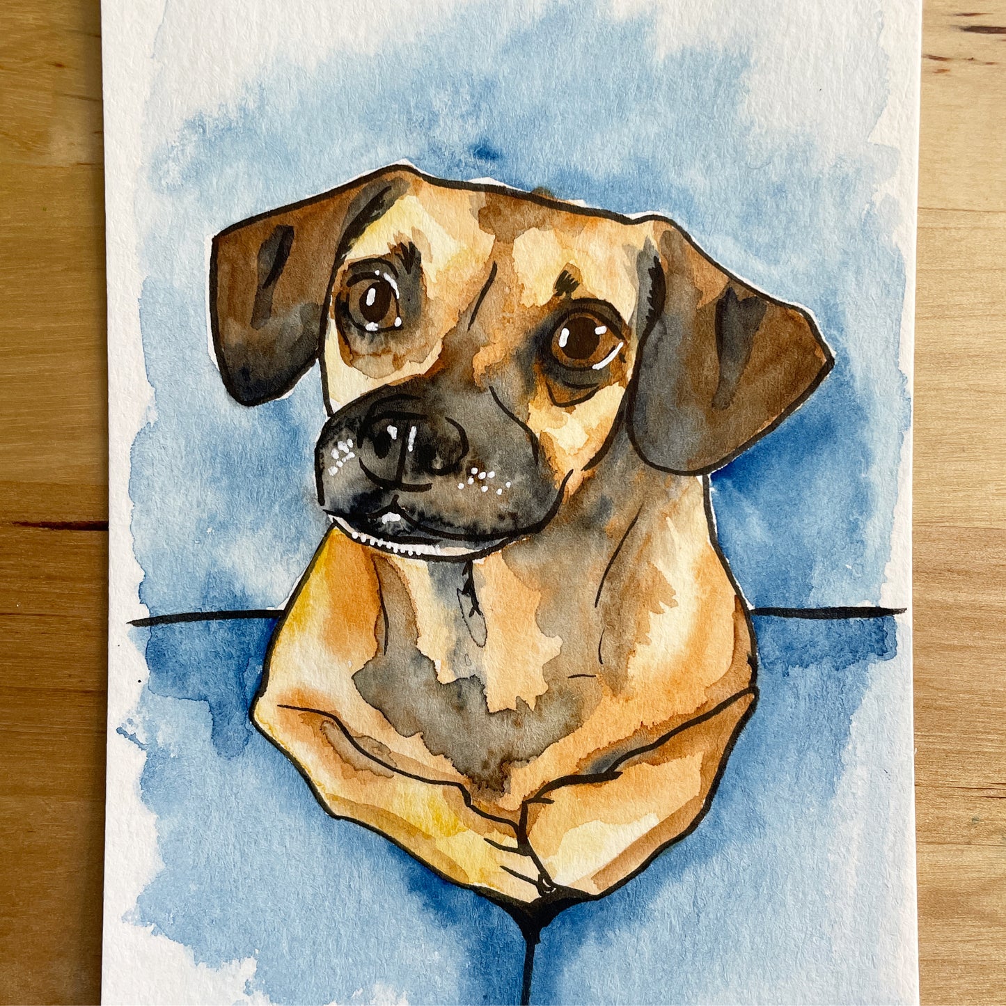 Pet Portrait Commission