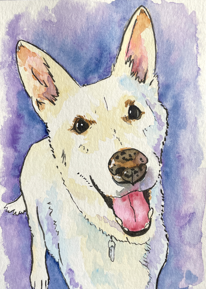 Pet Portrait Commission